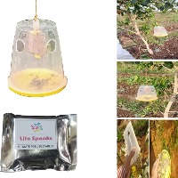 Set of Organic Lure with Fly Trap V Mat for Vegetable Trap Container